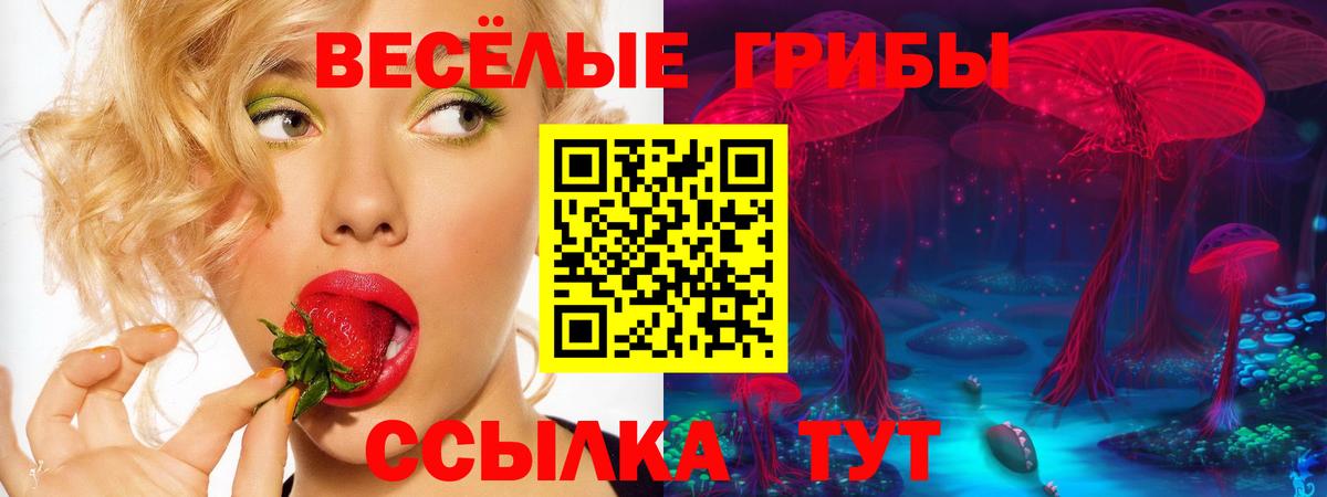 Ковров  Галлюциногенные грибы GOLDEN TEACHER  Галлюциногенные грибы мицелий  Вход с VPN 